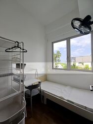 Whitehaven (D5), Apartment #502150451